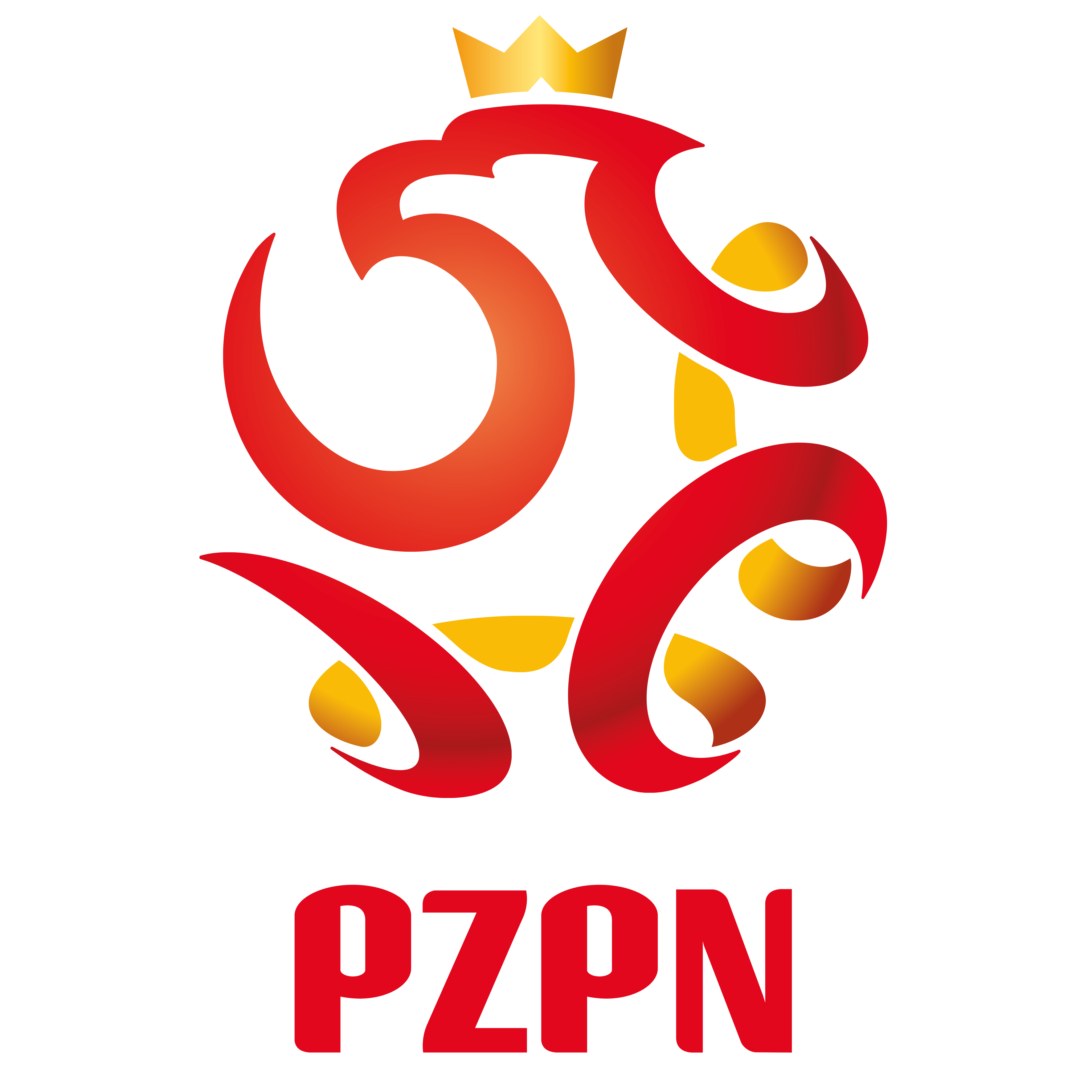 2719 pzpn logo on white background