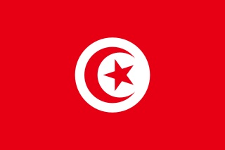 320px Flag of Tunisia